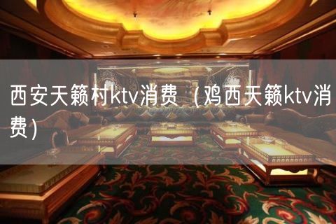 西安天籁村ktv消费（鸡西天籁ktv消费）