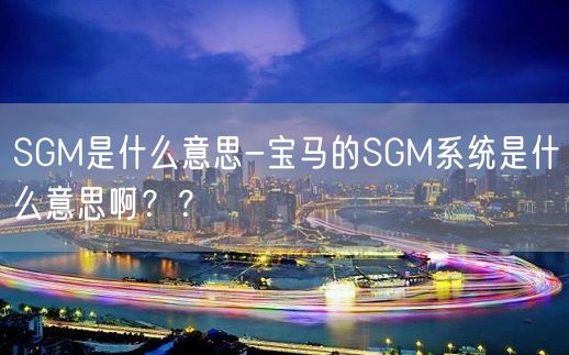 SGM是什么意思-宝马的SGM系统是什么意思啊？？