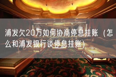 浦发欠20万如何协商停息挂账（怎么和浦发银行谈停息挂账）