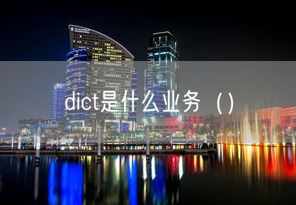 dict是什么业务（）