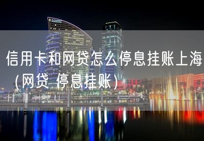 信用卡和网贷怎么停息挂账上海（网贷 停息挂账）