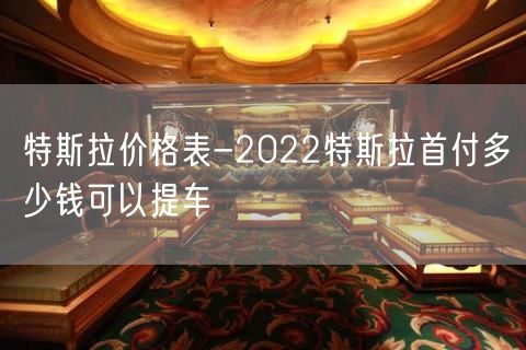 特斯拉价格表-2022特斯拉首付多少钱可以提车