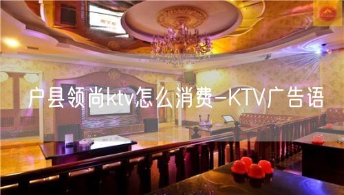 户县领尚ktv怎么消费-KTV广告语