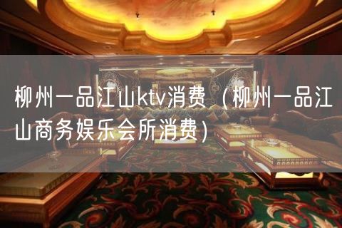 柳州一品江山ktv消费（柳州一品江山商务娱乐会所消费）