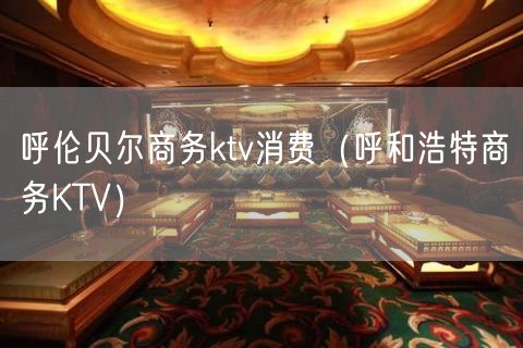 呼伦贝尔商务ktv消费（呼和浩特商务KTV）