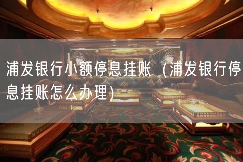 浦发银行小额停息挂账（浦发银行停息挂账怎么办理）