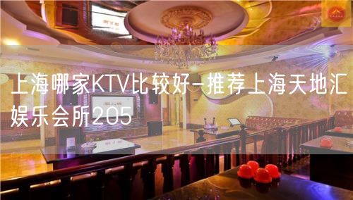 上海哪家KTV比较好-推荐上海天地汇娱乐会所205