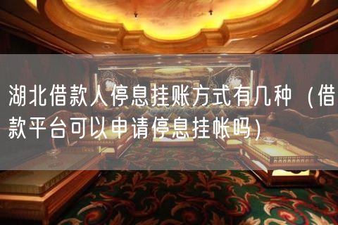 湖北借款人停息挂账方式有几种（借款平台可以申请停息挂帐吗）