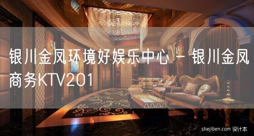 银川金凤环境好娱乐中心 – 银川金凤商务KTV201