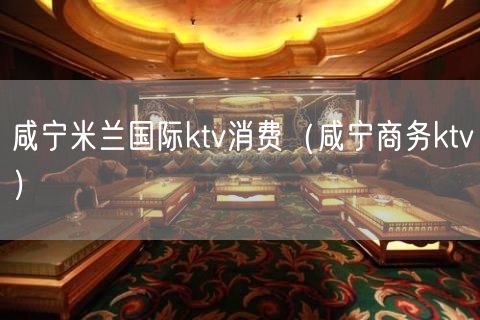 咸宁米兰国际ktv消费（咸宁商务ktv）