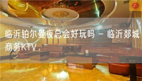 临沂铂尔曼夜总会好玩吗 – 临沂郯城商务KTV