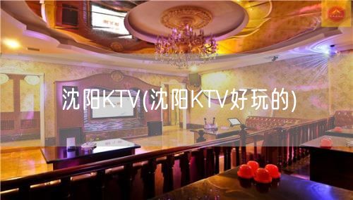 沈阳KTV(沈阳KTV好玩的)