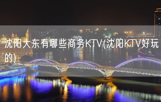 沈阳大东有哪些商务KTV(沈阳KTV好玩的)