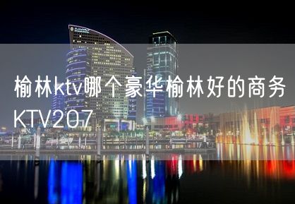 榆林ktv哪个豪华榆林好的商务KTV207