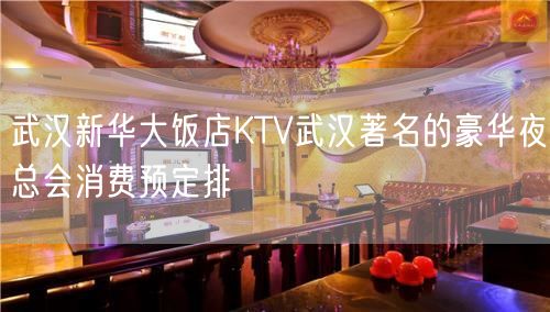 武汉新华大饭店KTV武汉著名的豪华夜总会消费预定排