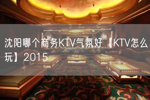 沈阳哪个商务KTV气氛好【KTV怎么玩】2015