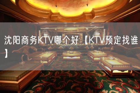 沈阳商务KTV哪个好【KTV预定找谁】