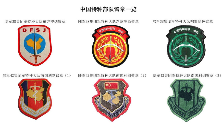 北京卫戍区臂章图案图片